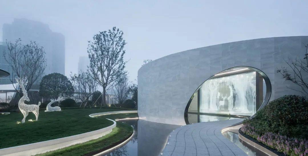 张伟丽个人介绍?知识星球平台,学习分享交流利器
